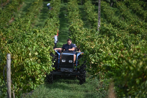 Foto - O ülkede kuraklık hasat dönemini değiştirdi