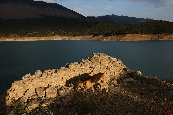Foto - O ülkede kuraklık kapıya dayandı