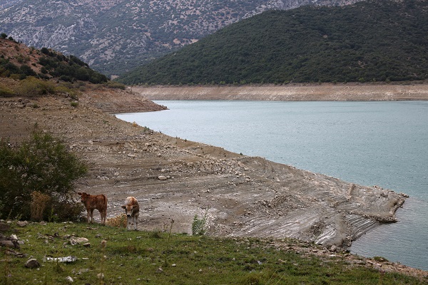 Foto - O ülkede kuraklık kapıya dayandı