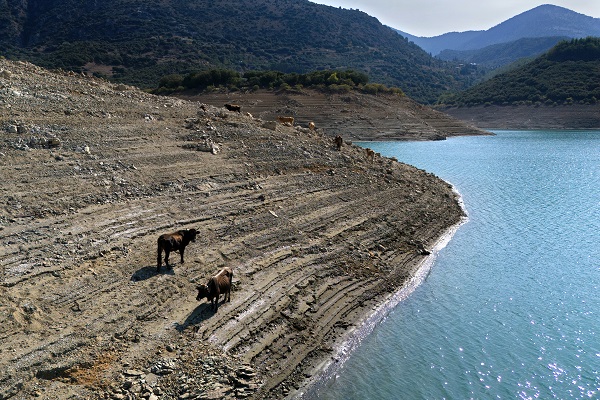 Foto - O ülkede kuraklık kapıya dayandı