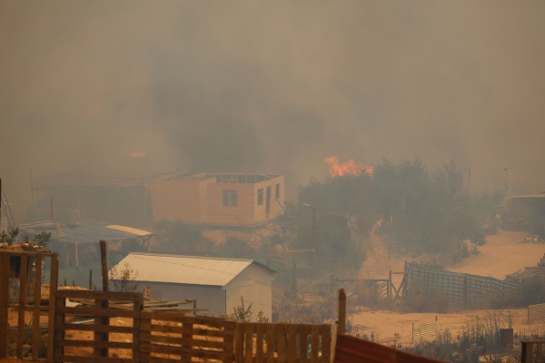 Foto - O ülkede orman yangını can aldı: 19 ölü