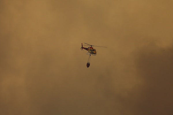 Foto - O ülkede orman yangını can aldı: 19 ölü