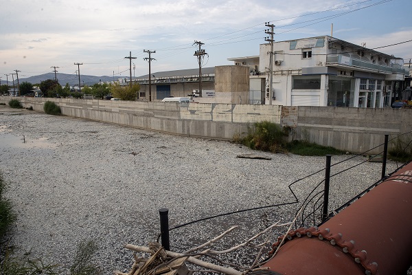 Foto - O ülkede sahile binlerce ölü balık vurdu! 