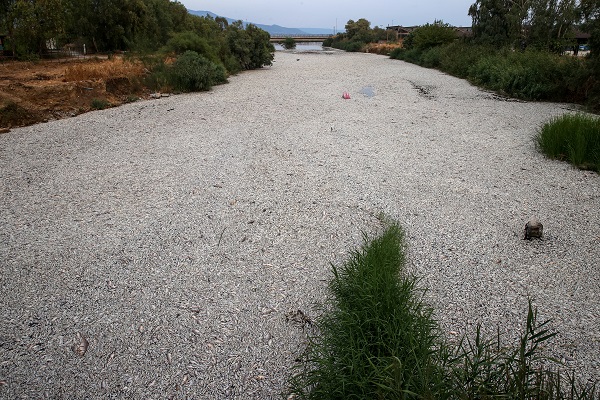 Foto - O ülkede sahile binlerce ölü balık vurdu! 