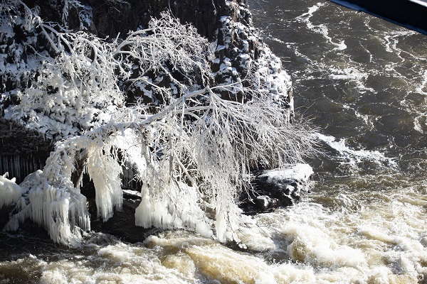 Foto - O ülkede şelaleler buz tuttu