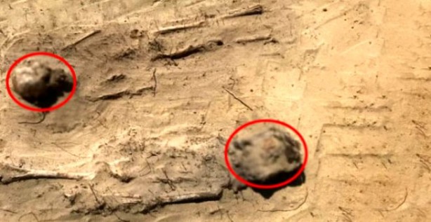 O ülke şokta! Ağzında para bulunan onlarca çocuk iskeleti bulundu