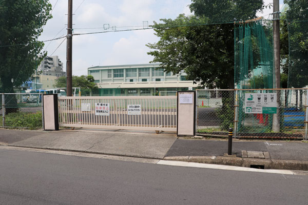 O ülkede Türk bayraklarıyla sokağa indiler!