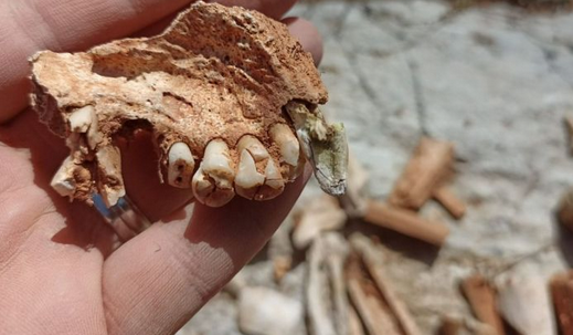 O ülkenin köyü defineciler tarafından tahrip edildi: Şoke eden manzara! Diş, kafatası, kemikler bulundu