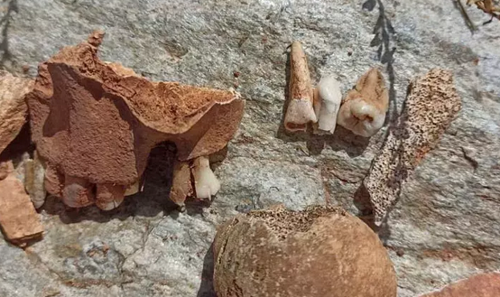 Foto - O ülkenin köyü defineciler tarafından tahrip edildi: Şoke eden manzara! Diş, kafatası, kemikler bulundu