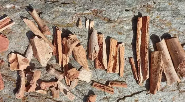 Foto - O ülkenin köyü defineciler tarafından tahrip edildi: Şoke eden manzara! Diş, kafatası, kemikler bulundu