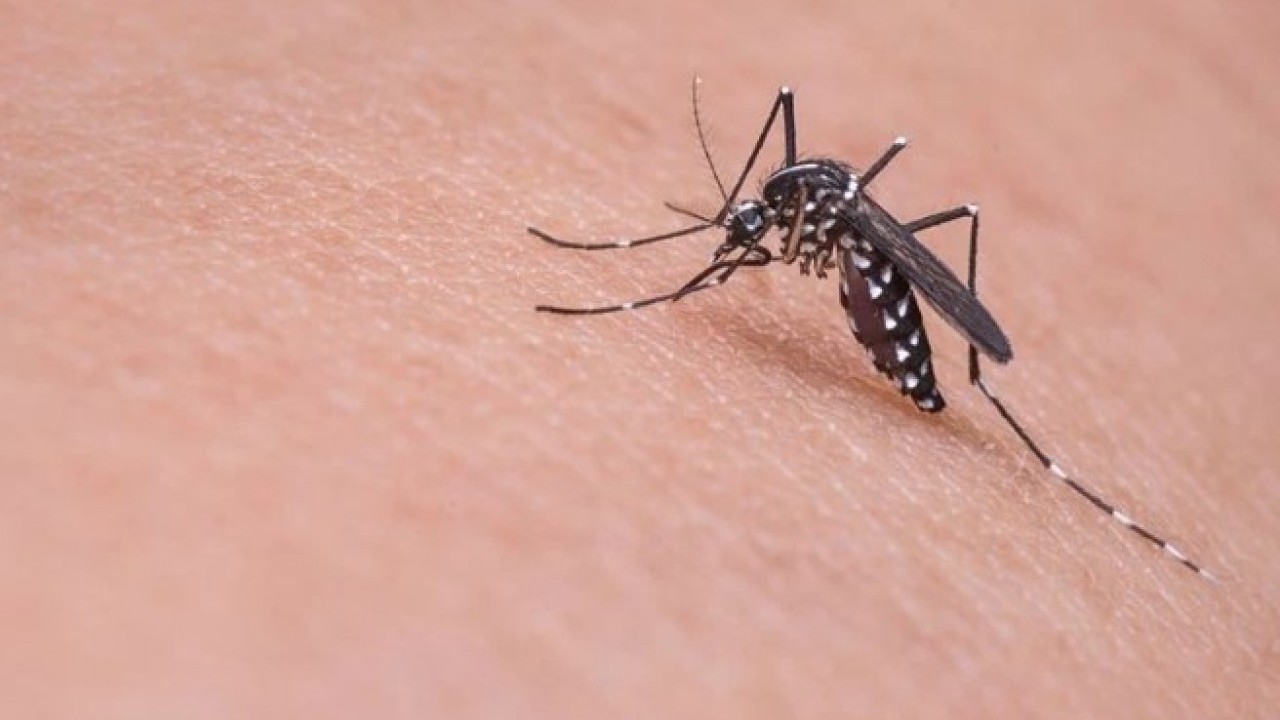 Foto - O üniversiteden Türkiye dahil 4 ülkeye uyarı! Bu virüse dikkat edin