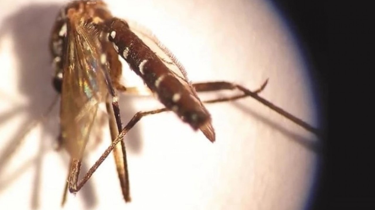 Foto - O üniversiteden Türkiye dahil 4 ülkeye uyarı! Bu virüse dikkat edin