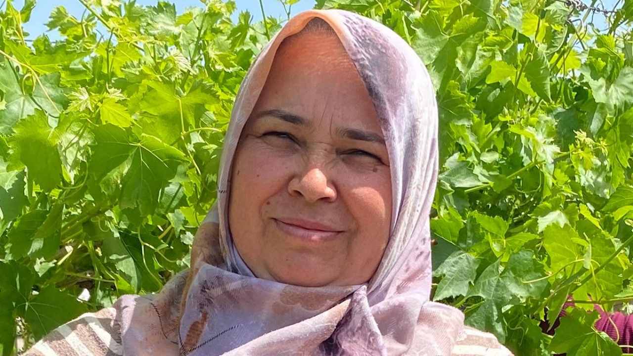 O üründe masraf yok, talep çok! Paralar da trink! Bütün dünyaya gönderiyorlar! Bakın ne kadara alıcısı var