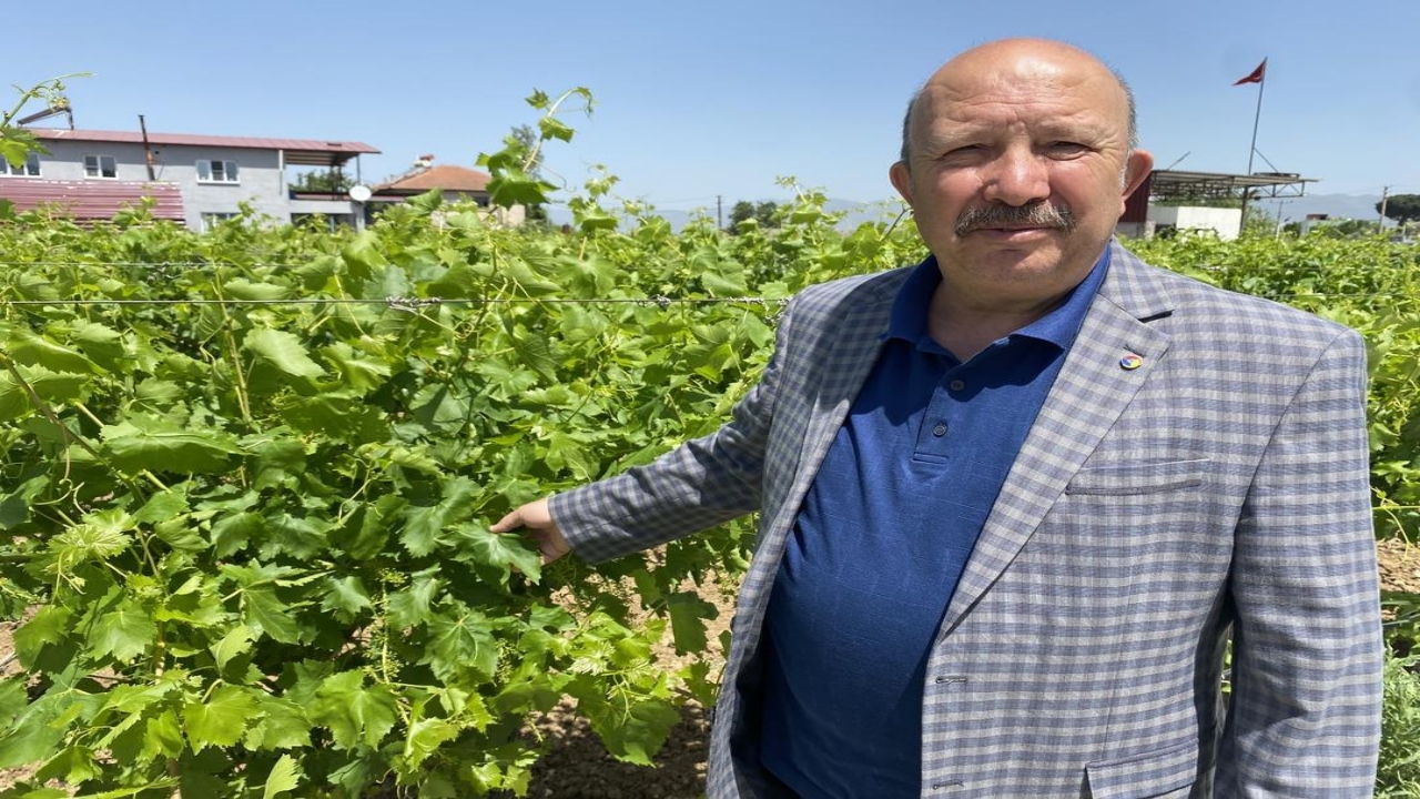 Foto - O üründe masraf yok, talep çok! Paralar da trink! Bütün dünyaya gönderiyorlar! Bakın ne kadara alıcısı var