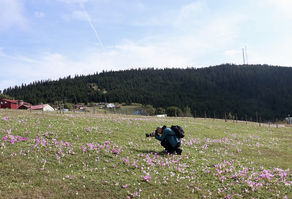 Foto - O yaylada kışın habercileri açtı! 