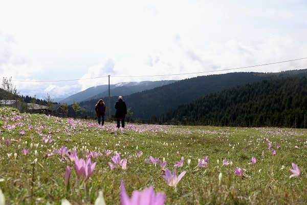 Foto - O yaylada kışın habercileri açtı! 