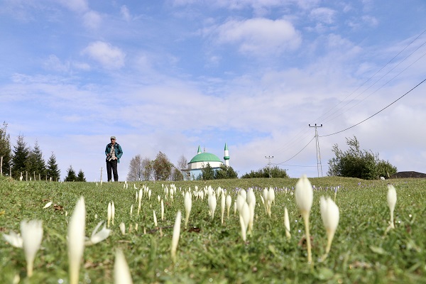 Foto - O yaylada kışın habercileri açtı! 