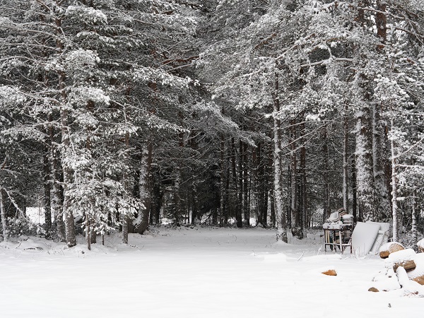 Foto - O yayladan kartpostallık kış görüntüleri