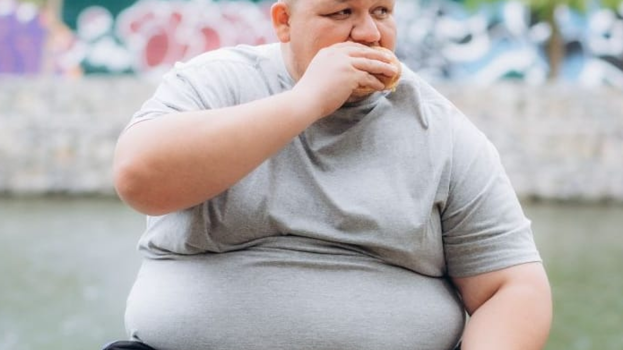 Foto - Obezite hakkında en çok merak edilen on soru on cevap! İşte tüm detaylar