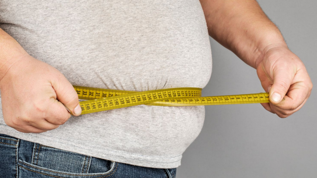 Foto - Obezite hakkında en çok merak edilen on soru on cevap! İşte tüm detaylar