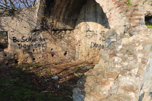 Foto - 'Ocağına incir ağacı dikmek' deyimi gerçek oldu! Tarihi hamamda ilginç manzara