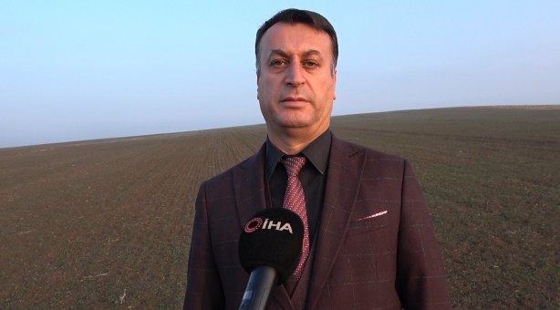 Foto - Ocak ayında arpa ve buğday tarlaları yeşillendi