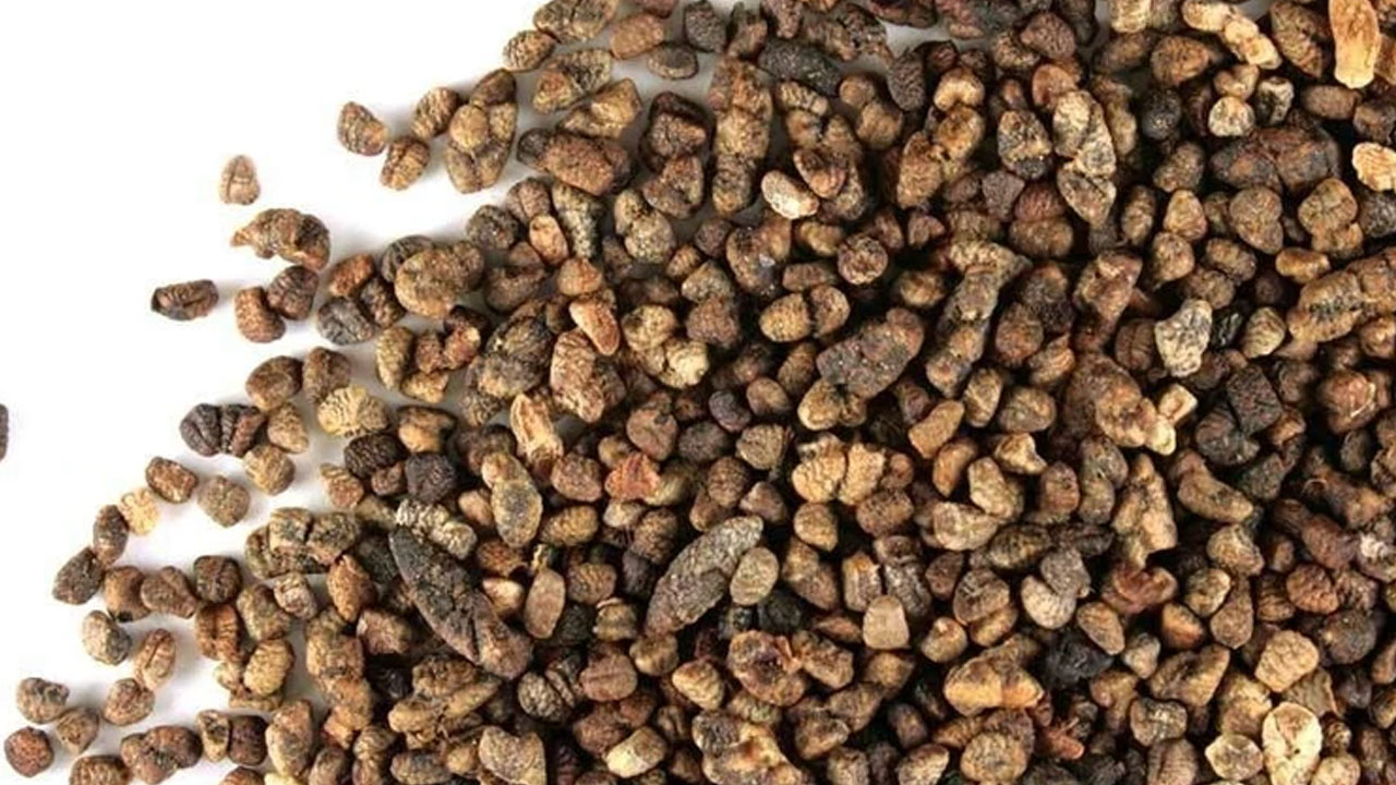 Ödemi atıyor, iştahı kapatıyor: 2 adet çiğnemek yeterli! 