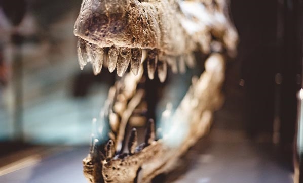 Foto - Ödüllü bilim muhabirinden gündemi sarsan iddia! ‘Oraya bizden önce ulaştılar’