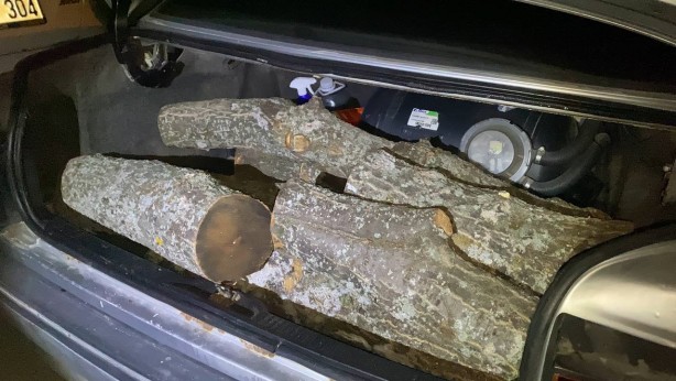 Foto - Odun hırsızına suçüstü 