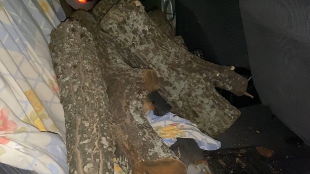 Odun hırsızına suçüstü 