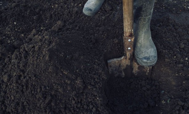 Öğle yemeği yedikten sonra bölgeye gelen kazıcılar toprağı hararetle kazdı! Yer altından birden fışkırdı! Topraktan çıkan şey tüm dünyayı şok etti 