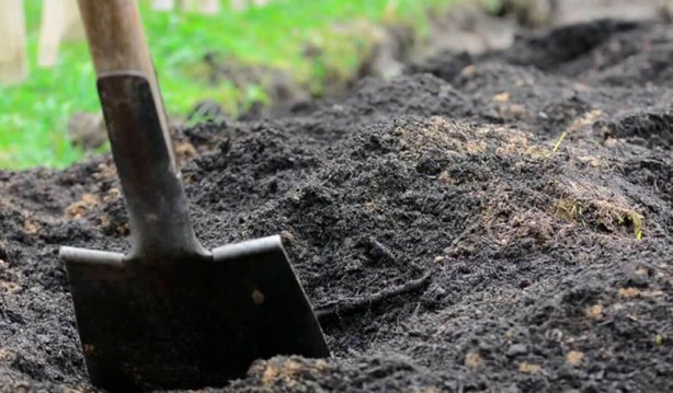 Foto - Öğle yemeği yedikten sonra bölgeye gelen kazıcılar toprağı hararetle kazdı! Yer altından birden fışkırdı! Topraktan çıkan şey tüm dünyayı şok etti 