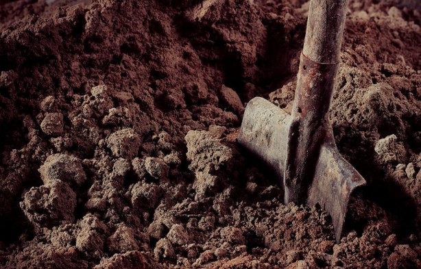 Foto - Öğle yemeği yedikten sonra bölgeye gelen kazıcılar toprağı hararetle kazdı! Yer altından birden fışkırdı! Topraktan çıkan şey tüm dünyayı şok etti 