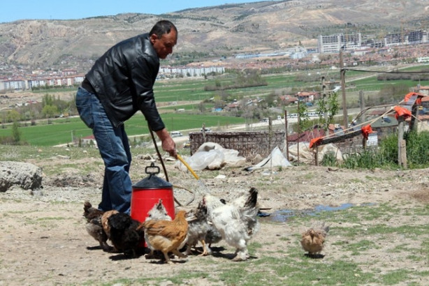 Foto - Oğlunun isteği babasını patron yaptı