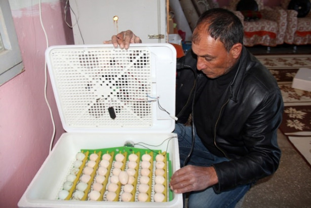 Foto - Oğlunun isteği babasını patron yaptı