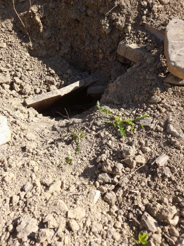 Foto - Oğlunun mezarına dua etmek için gitti, hayatının şokunu yaşadı! Gördüğüne dayanamayınca, yığılıp kaldı! Kulaklarınıza inanamayacaksınız