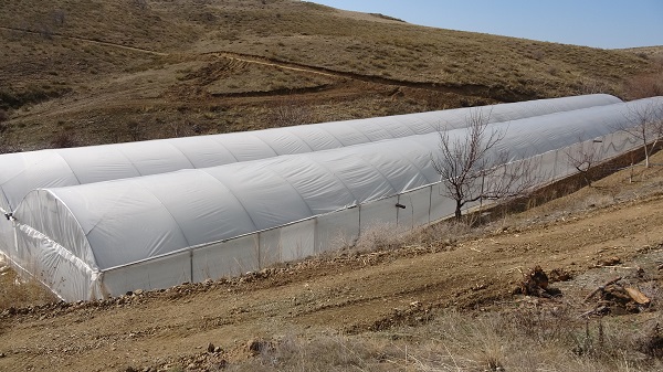 Foto - Oğlunun tavsiyesini dinledi kendi işinin sahibi oldu