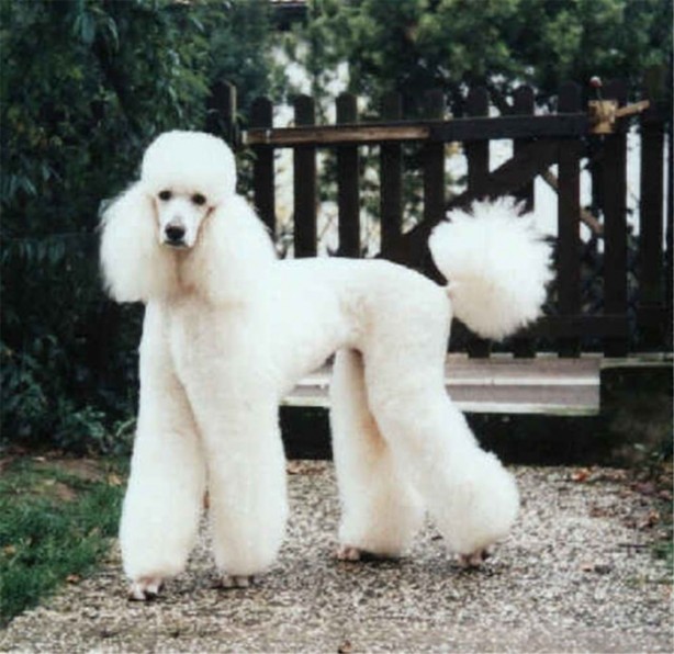 Foto - Öğrendiğinizde şaşıracağınız ilginç bilgiler