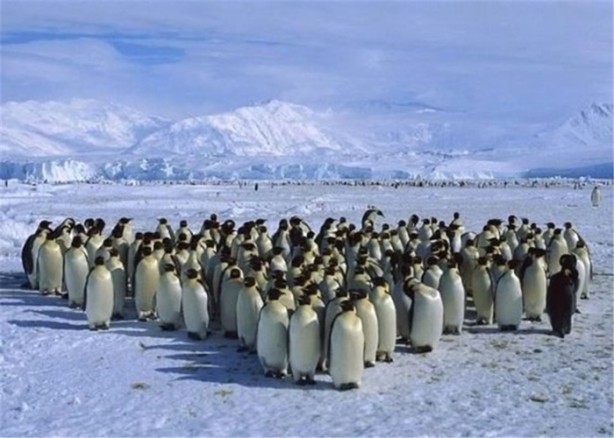 Foto - Öğrendiğinizde şaşıracağınız ilginç bilgiler