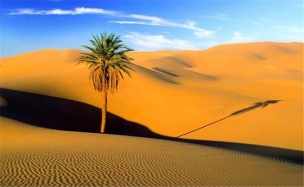 Foto - Öğrendiğinizde şaşıracağınız ilginç bilgiler