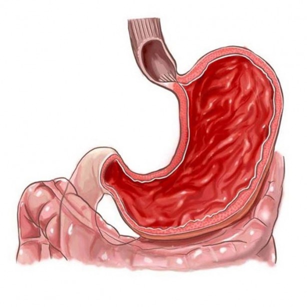 Foto - Öğrendiğinizde şaşıracağınız ilginç bilgiler