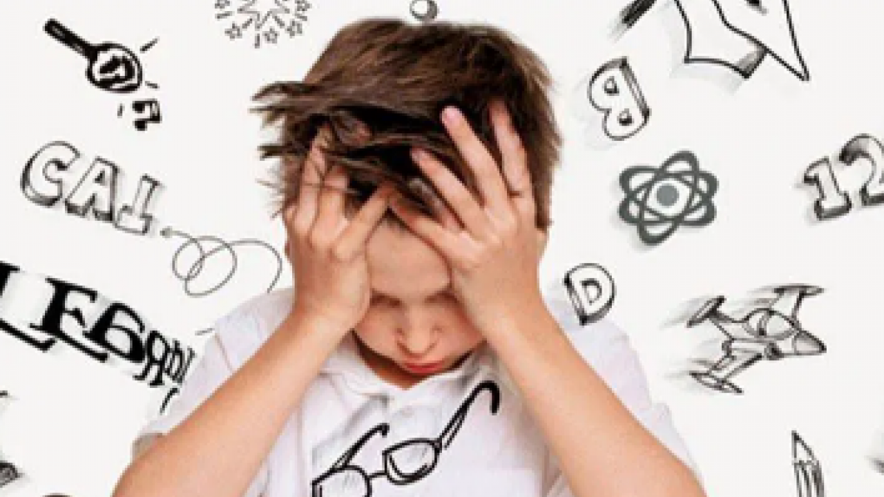 Öğrenme güçlüğü engel değil, farklılıktır