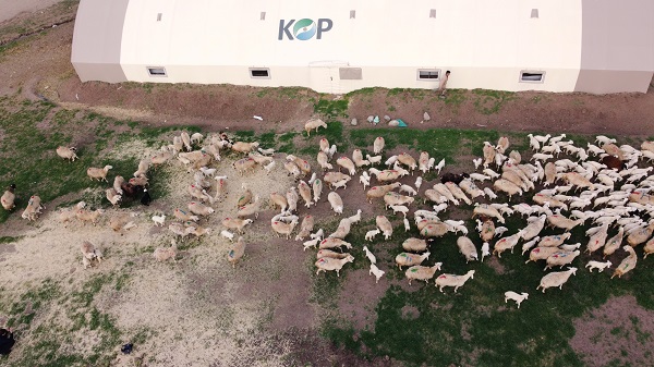 Foto - Öğretmenliği bırakıp bu işe başladı! 6 senede 5 katına çıkardı