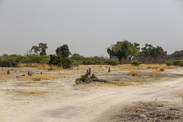 Foto - Okavango Deltası'nda kuraklık tehlikesi