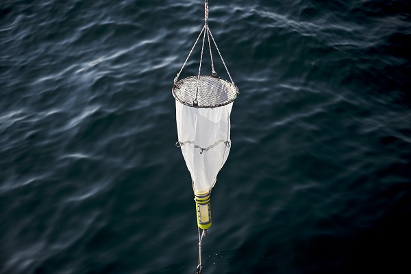 Oksijen azalıyor, sıcaklık artıyor! Marmara Denizi can çekişiyor