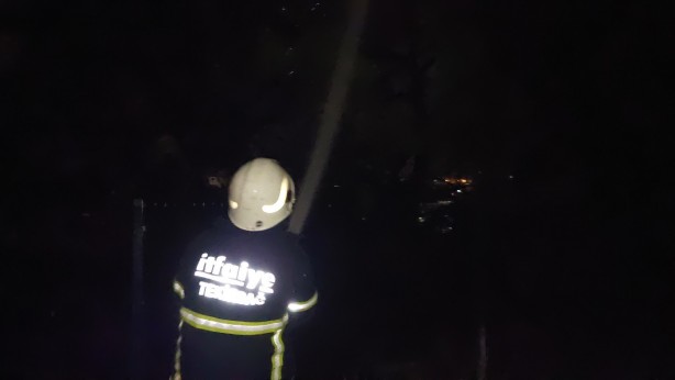 Foto - Okul bahçesindeki ağaçlar cayır cayır yandı