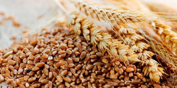 Foto - Okul çağı çocuğu beslenmesi: Diyetisyenden okul çağı çocukları için beslenme tüyoları 