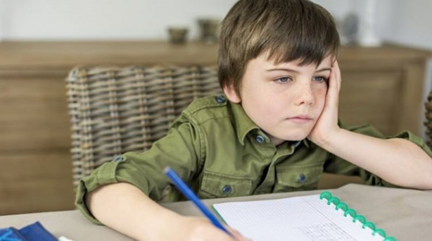 Foto - Okuldaki başarısızlığın asıl sebebi...