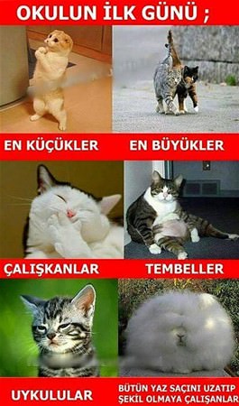 Foto - Okullar açıldı, sosyal medya sallandı!