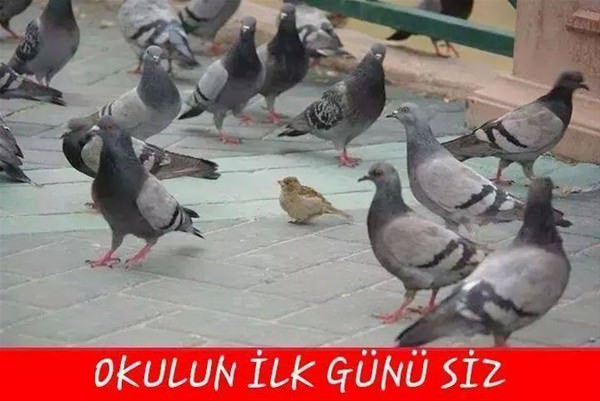 Foto - Okullar açıldı, sosyal medya sallandı!